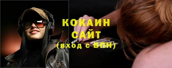 прущие грибы Касимов