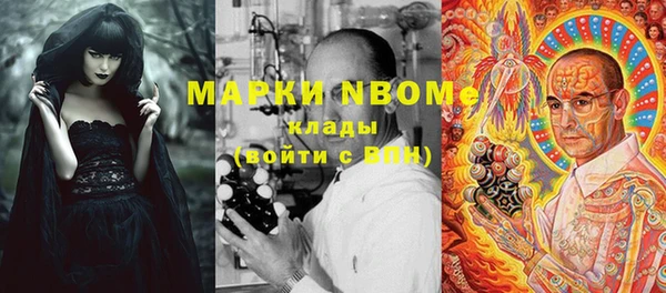 молекула духа Карпинск