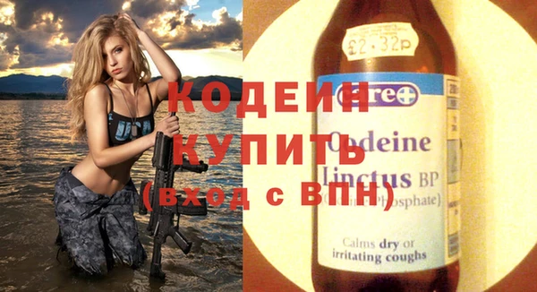 молекула духа Карпинск