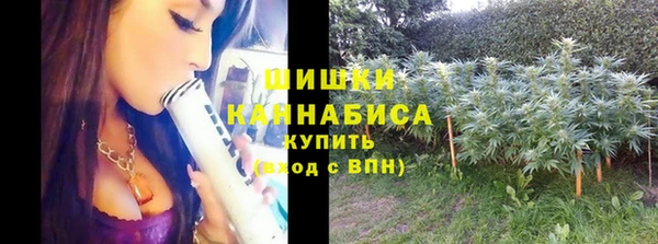 молекула духа Карпинск