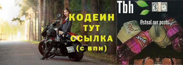 молекула духа Карпинск